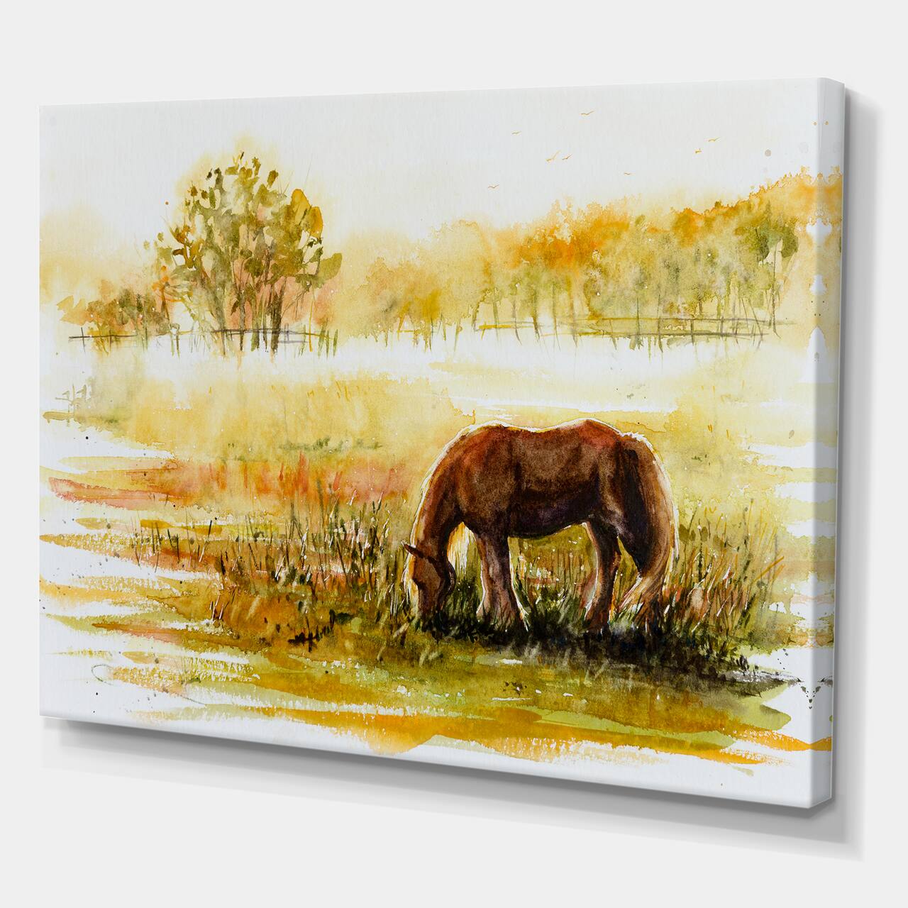 Designart - Horse Grazing On A Meadow - Farmhouse Canvas Wall Art Print
